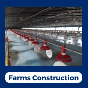 Poultry Farms Construction