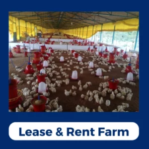Lease & Rent Farms Poultry Farms