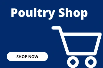 Poultry-Shop